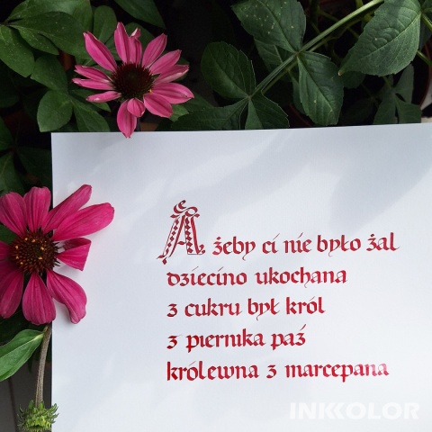 Kaligrafia historyczna - pisma gotyckie - 14 spotkań, wtorki 18:00-20:00, 07.10.2025-03.02.2026