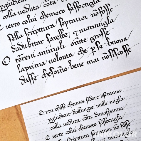 Kaligrafia historyczna - pisma gotyckie - 14 spotkań, środy 18:00-20:00, 04.02-06.05.2026