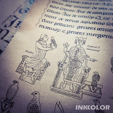 Stupor Mundi. Minuskuła gotycka Fryderyka II. Daniel Dostal 25.10.2025 sobota15:00-19:00