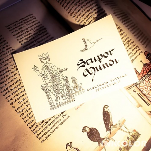 Stupor Mundi. Minuskuła gotycka Fryderyka II. Daniel Dostal 25.10.2025 sobota15:00-19:00