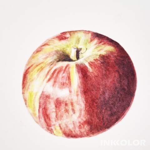 Warsztaty malowania akwarelą. Podstawy rysunku pędzlem: Jabłko, 07.12.2025, niedziela, 11:00-15:00