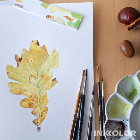 Warsztaty malowania akwarelą. Podstawy rysunku pędzlem: Liść dębu, 09.11.2025, niedziela, 10:00-14:00