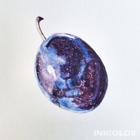 Warsztaty malowania akwarelą. Podstawy rysunku pędzlem: Śliwka, 30.11.2025, niedziela, 11:00-15:00