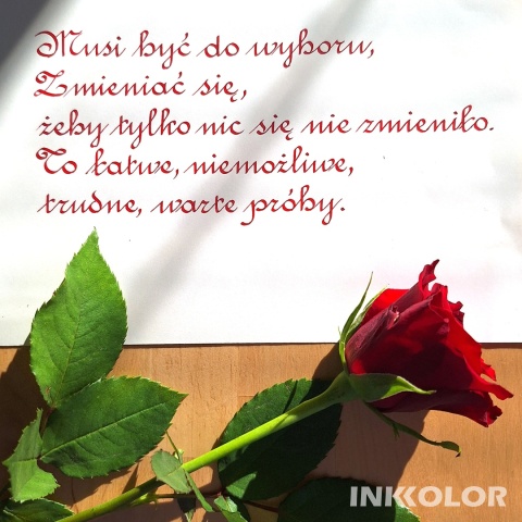 Dzień Kobiet z Inkkolor - francuska odmiana pisma rondowego 7.03.2026, sobota, 10:00-12:30 lub 13:00-15:30