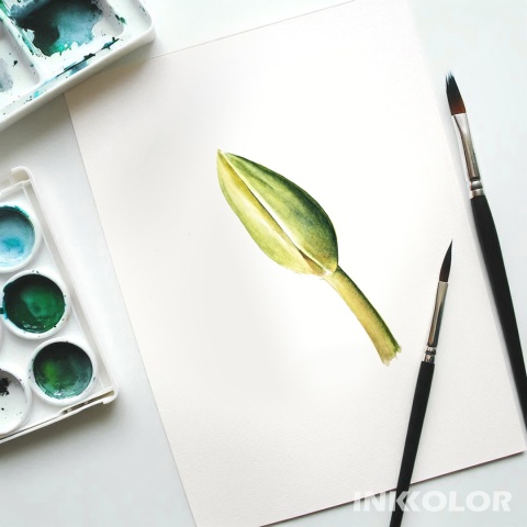 Warsztaty malowania akwarelą. Podstawy rysunku pędzlem: Pąk tulipana 08.02.2026, niedziela, 11:00-15:00